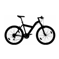 Transport Bicycle 01