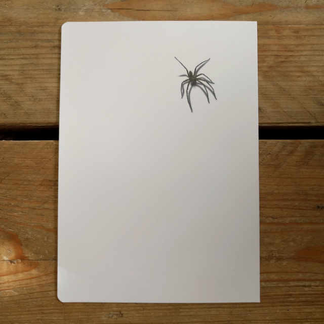 Arachnid Plain | Design, proof and buy online | Personalised Stationery