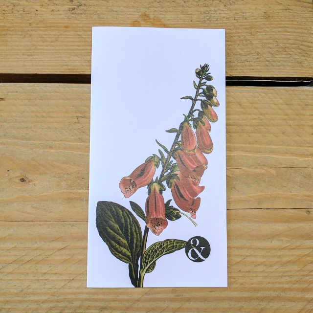 Digitalis Seyes Ruled | Design, proof and buy online | Personalised Stationery