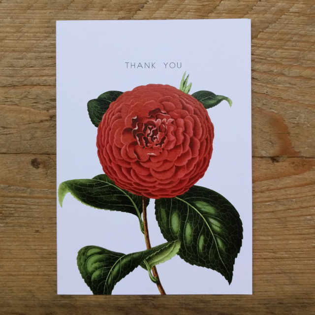 Personalised Stationery : A6 Note Card : Chrysanth