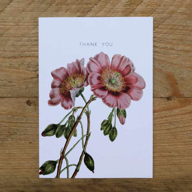 Personalised Stationery : A6 Note Card : Mullein