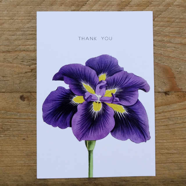 Personalised Stationery : A6 Note Card : Purple Lily