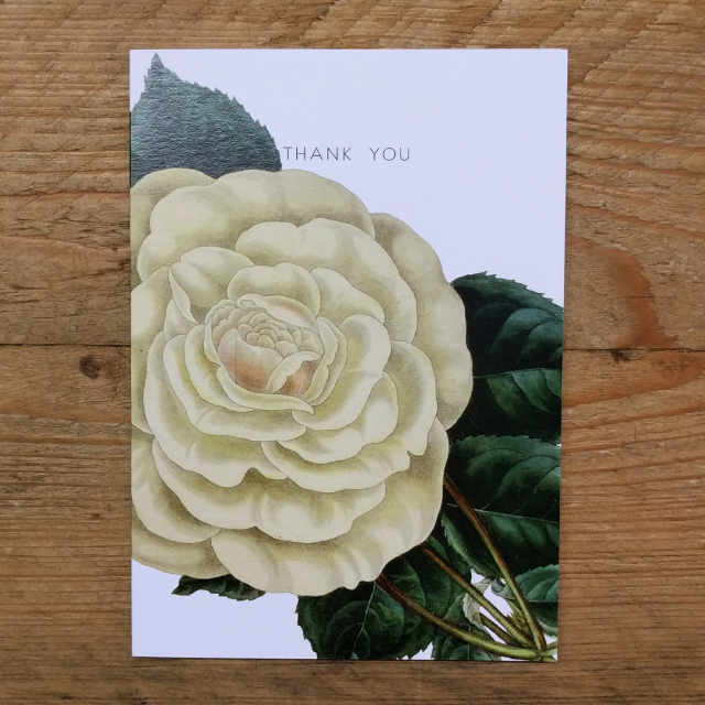 Personalised Stationery : A6 Note Card : White Rose