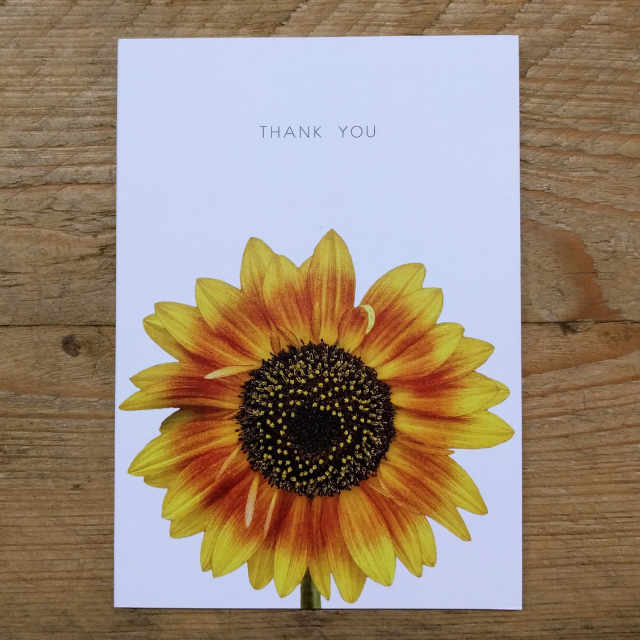 Personalised Stationery : A6 Note Card : Solros