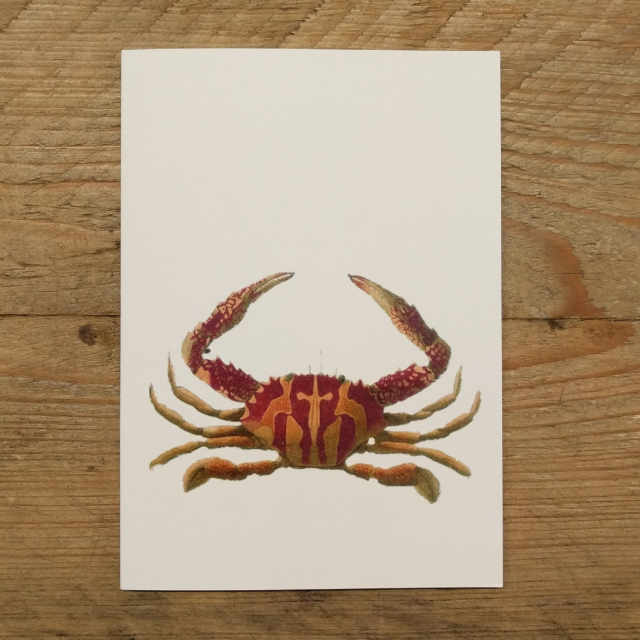 Personalised Stationery : A6 Note Card : Pela