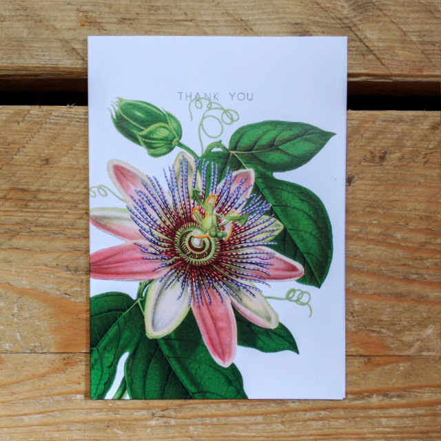 Personalised Stationery : A6 Note Card : Pink Clematis