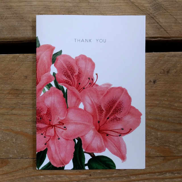 Personalised Stationery : A6 Note Card : Pink Lily