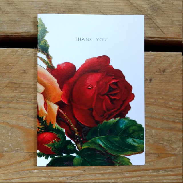 Personalised Stationery : A6 Note Card : Red Rose