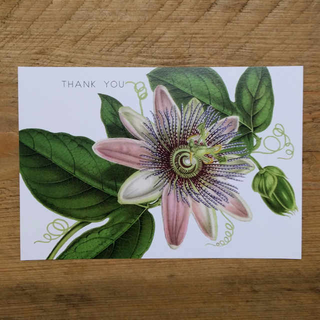 Personalised Stationery : Demi Quarto Postcard : Pink Clematis