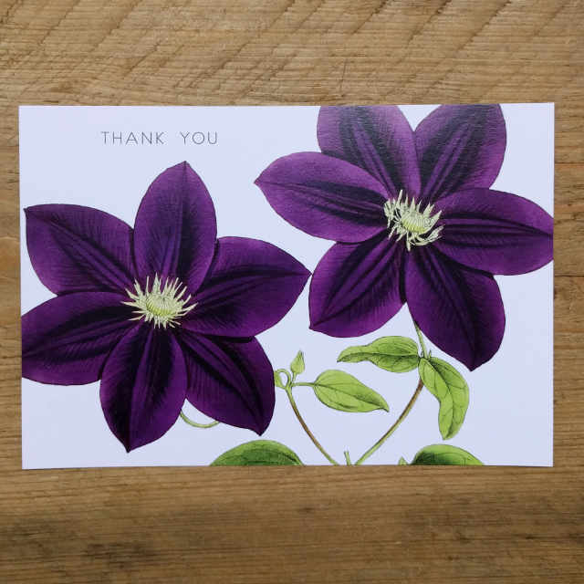 Personalised Stationery : Demi Quarto Postcard : Purple Clematis