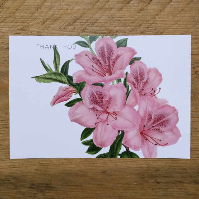 Personalised Stationery : Demi Quarto Postcard : Pink Lily