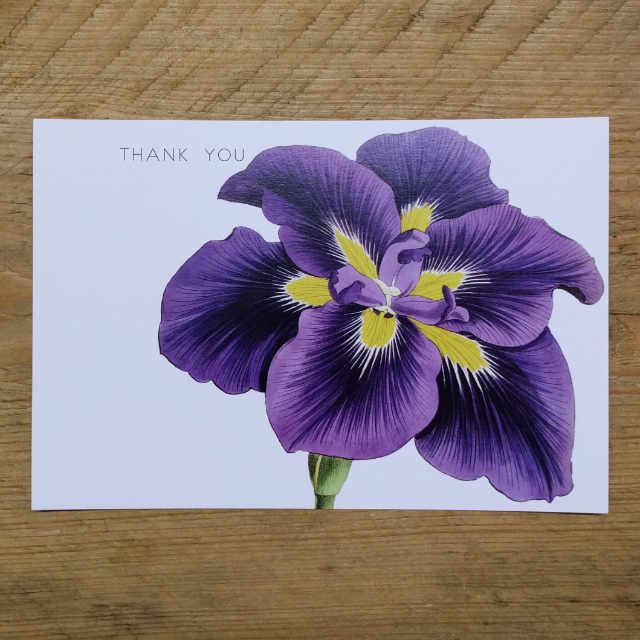 Personalised Stationery : Demi Quarto Postcard : Purple Lily