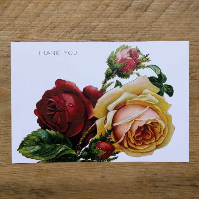 Personalised Stationery : Demi Quarto Postcard : Red Rose