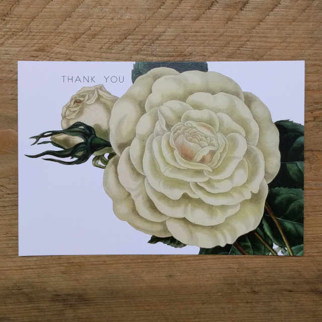 Personalised Stationery : Demi Quarto Postcard : White Rose